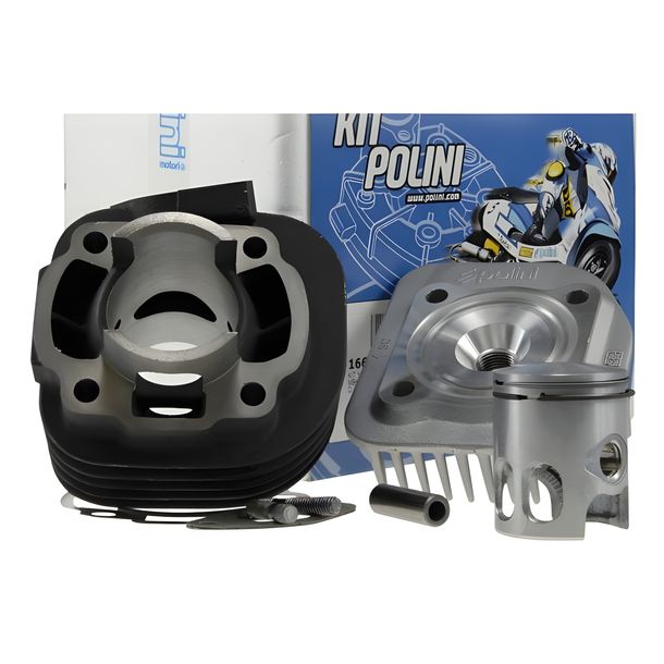Cylinder Polini 50cc SPORT Minarelli horizontal  AC (long thread)