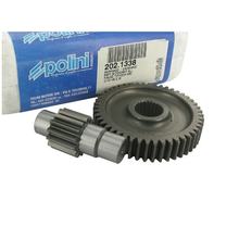 Převod sekundární, Polini pro Piaggio Rv. před 96, 18,0mm, 14 / 48 (3,43)