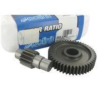 Převodová poměr sekundární, Polini pro Piaggio RV. 96 / -98, 17,7mm, 14 / 48 (3,43)