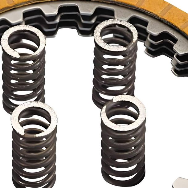 Kupplungsbeläge + Federn Polini verstärkt für Minarelli AM6 – Bild 2