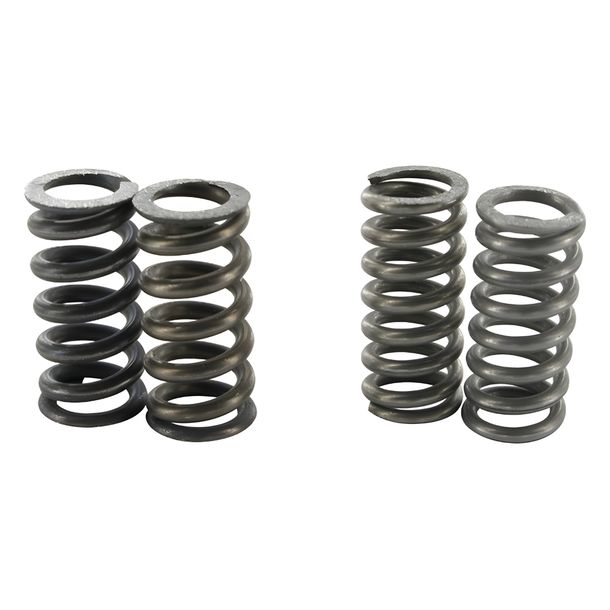 Clutch springs for Polini Speed ​​Clutch 2G, 2 pair