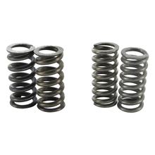 Kupplungsfedern für Polini Speed Clutch 2G, 2 Paar