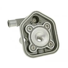 testata Naraku 50cc per Peugeot verticale LC