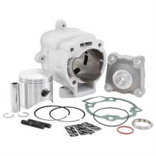 Zylinderkit Malossi 172ccm LC für Piaggio / Gilera 125-180ccm 2Takt LC - mit Zylinderkopf