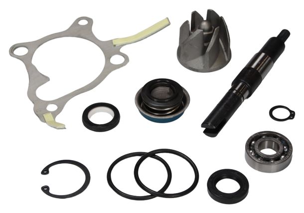 Reparaturkit Wasserpumpe RMS - für Honda FES Foresight / Helix / für Piaggio X9 250