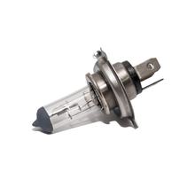 Lamp RMS Halogeenlampen 12V 60W / 55W H4 P43T Peer, met goedkeuring