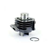 TNT Standard 50cc cilinder voor Minarelli staande AC