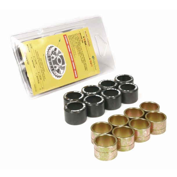 Variomatik Gewichte Rollen Malossi HT 25X14,9 15G – Bild 1