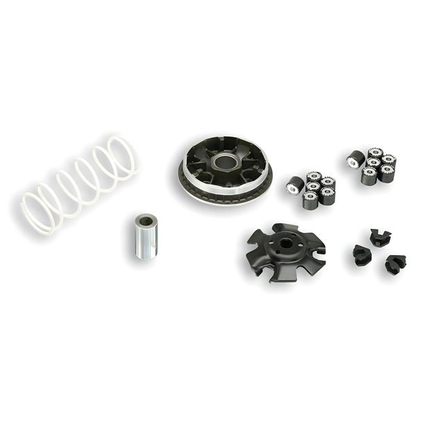 Variator Malossi Multivar 2000 Honda NSS 250 Forza EX, X