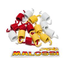 Set di molle frizione Malossi Racing per Aprilia SRV 850, Garelli Xo 125 – 150, Gilera GP 800