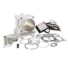 Zylinderkit Malossi I-Tech 218ccm für Piaggio Leader Injection inkl. Force Master Einspritzmodul