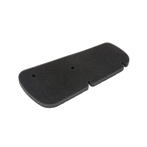 Luftfiltereinsatz / Luftfilter Athena für Honda FES 125 Pantheon (2-Takt)