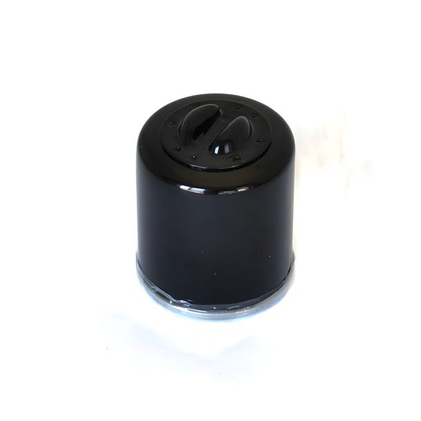 Filtro olio per Athena Aprilia / Derbi / Gilera / Italjet / Malaguti / PGO / Peugeot / Piaggio 125-200 - 250