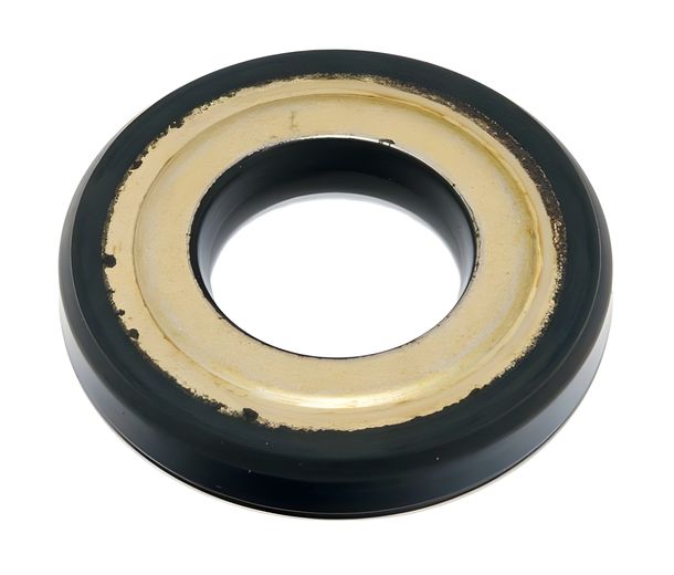 RMS 22,7x47x7,5mm paraolio per Vespa 50-125 Primavera / ET3