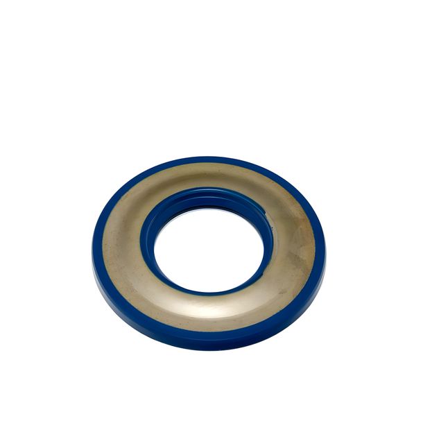 Wellendichtring Blau Metall gummiert 31x62x4,3/5,8mm RMS für Vespa 125 – 200 PX / Prima Serie / GL / Sprint