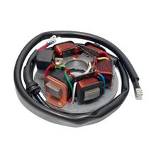Alternator zaw. Fundamentowe RMS płytowe dla Vespa 125 ET3 6Volt 7 Cable