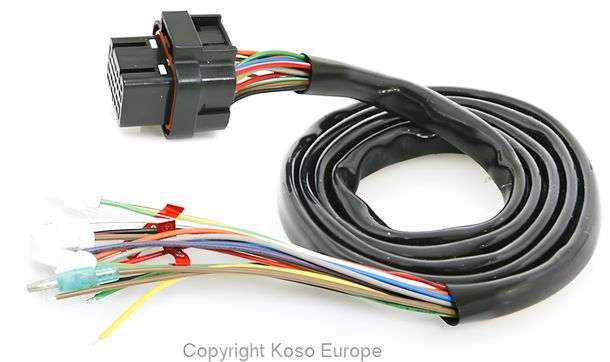 Kabelbaum Koso RX2N