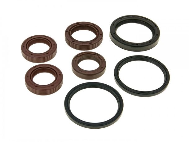 Kit Paraoli Motore per Aprilia, Benelli, Derbi, Peugeot, Piaggio, Vespa Maxi