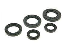 Kit paraolio per il motore Morini AC (vecchia versione) Malaguti 100 2 tempi