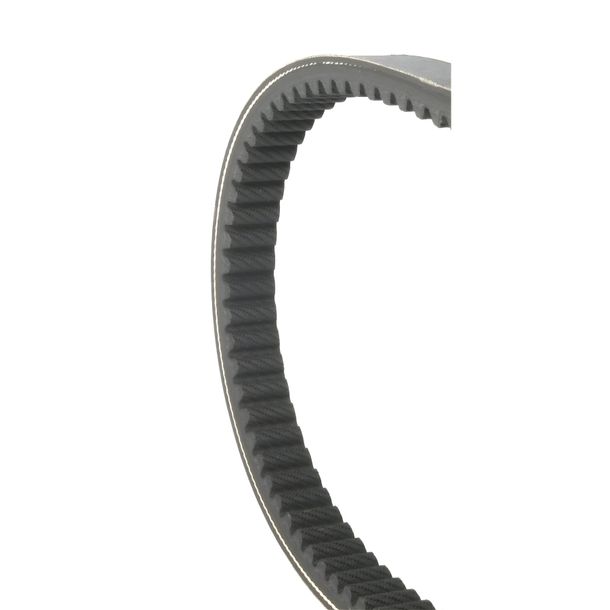 drive belt Malossi special replacement for Piaggio, Vespa Grillo