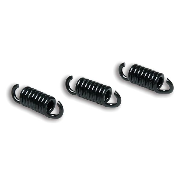 Malossi MHR Maxi Delta Muelles embrague negro 2,5 mm Racing para Runner 125, 180 cc 2T