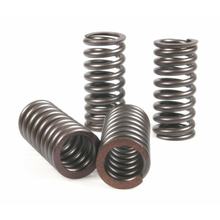 Set di molle del ventilatore Malossi Titanium per Aprilia, Piaggio, Vespa, Gilera V4