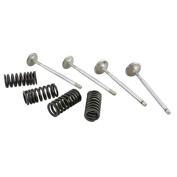 Juego de válvulas Malossi Racing con muelles para motores Piaggio LC de 4 válvulas