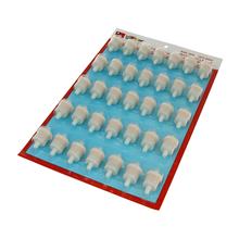 Benzinfilter 8mm High Quality Display 35 Stück