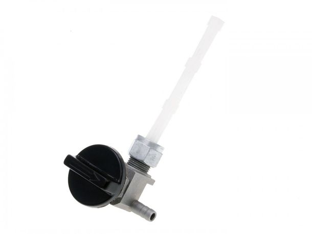 Bobine pour Tomos Flexer, Revival
