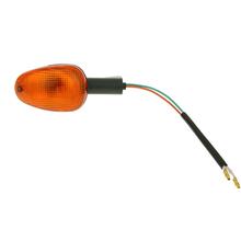Blinker hinten links für Malaguti F12 (01-)