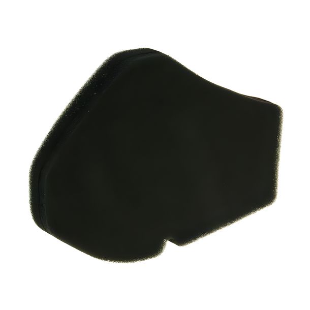 Luftfilter Einsatz für Suzuki Burgman 125, 200 (02-)