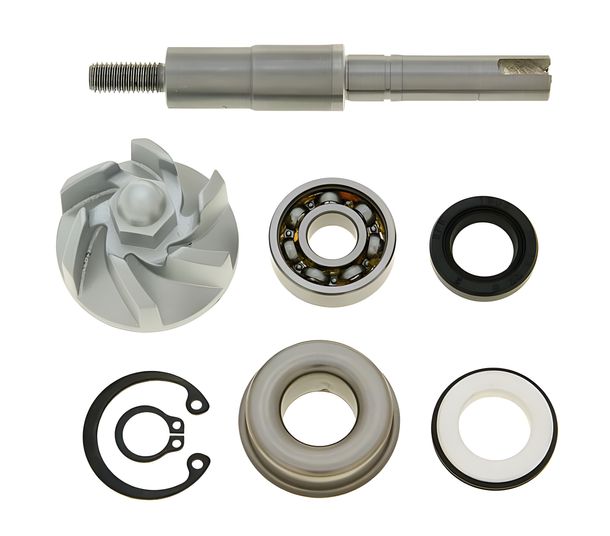 Reparaturkit Wasserpumpe für Honda FES, NES, SH, SES