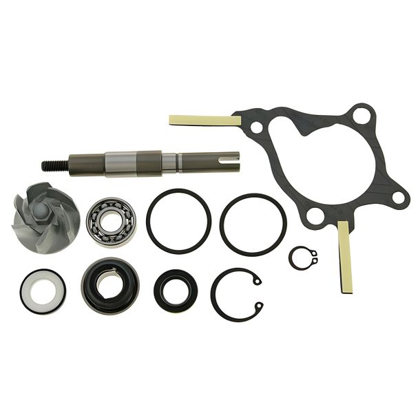 Reparaturkit Wasserpumpe für Honda, Piaggio, Peugeot 250ccm