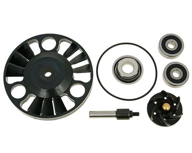 Riparazione delle pompe idrauliche Kit 125-200ccm motore Piaggio