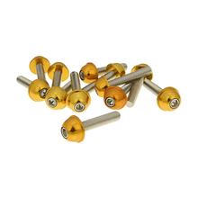 Schraubensatz 12 Stück Alu-Kappe gold - M6x30