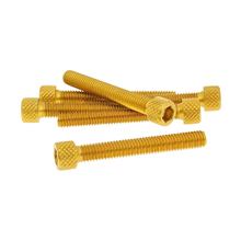 Schraubensatz 6 Stück Innensechskant Alu gold - M6x45