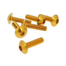 Juego de tornillos 6 piezas de revestimiento de oro - M5x20