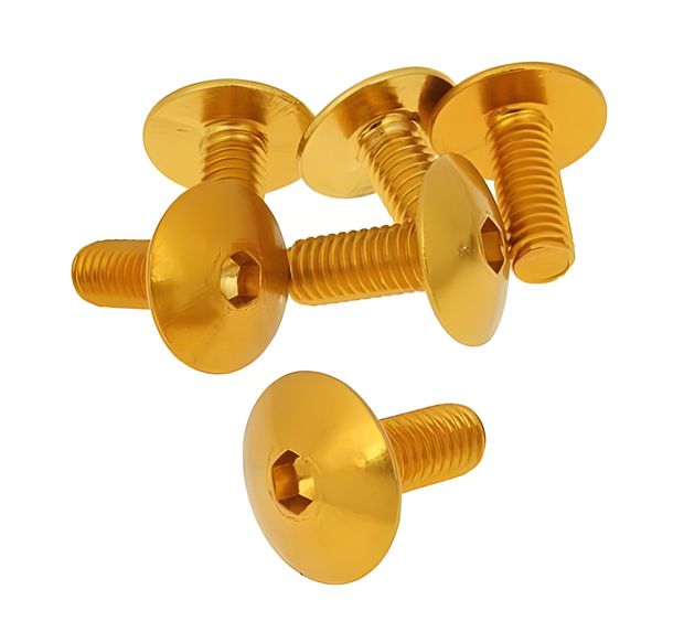 Screw set 6 pieces coprono oro - M6x15