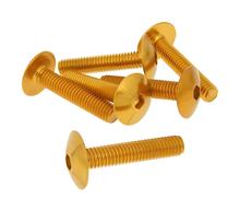 Set van 6 schroeven, goudkleurig bekleed - M6x30