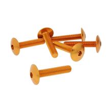 Set van 6 schroeven voor oranje afdekkap - M6x30