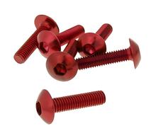 Schroefset 6-delig bekleding rood - M5x20