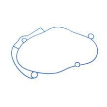 Polini Evolution transmissiedekselafdichting voor Piaggio