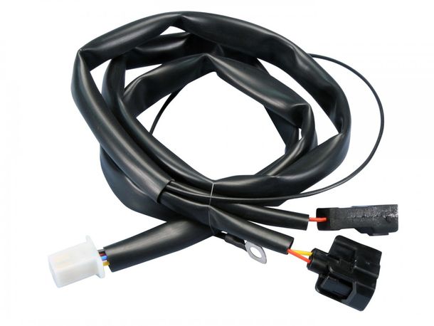Kabelbaum Polini für ECU-Einspritzmodul, Honda SH 125i / SH 150i