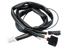Kabelbaum Polini für ECU-Einspritzmodul, Honda SH 125i / SH 150i