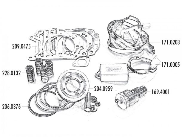 Pistone Kit Polini 300ccm 75 millimetri per Piaggio Quasar 300ie 4T LC