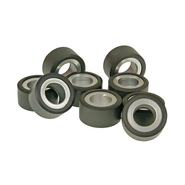 Variomatikgewichten Polini Set Variorollen 19x17mm, 11,5g