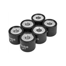 Variatorgewichten Polini Set Variorollen 19x17mm, 7,2g
