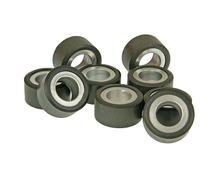 Variatorgewichten Polini Set Variorollen 25x19mm, 15,5g, 8 Stuks