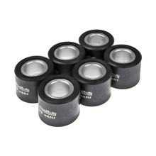 Variateurgewichten Polini Set Variorolletjes 25x21,8mm, 17,0g