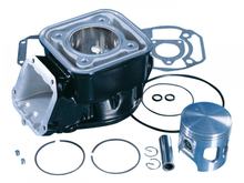 Cilindro Polini sportiva alluminio 154ccm 60 millimetri per Rotax tipo di motore 127